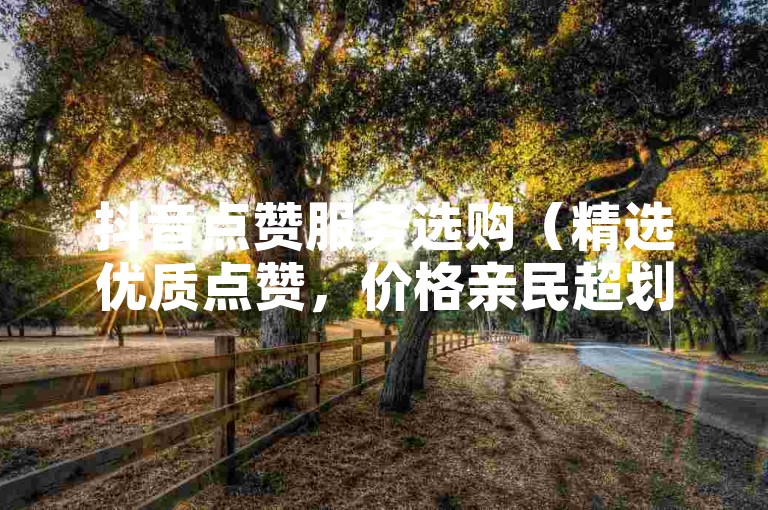 抖音点赞服务选购（精选优质点赞，价格亲民超划算）