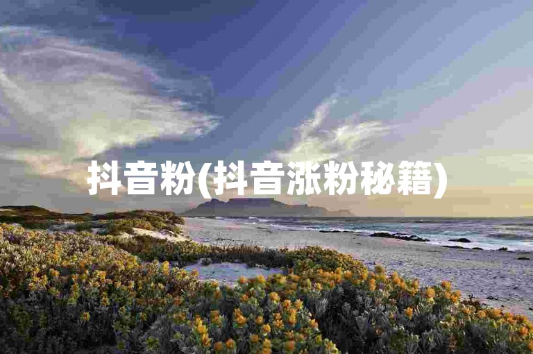 抖音粉(抖音涨粉秘籍)