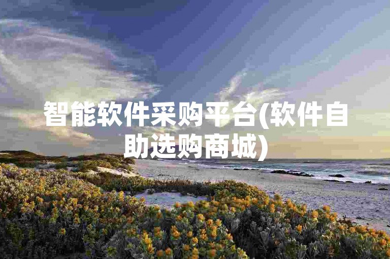 智能软件采购平台(软件自助选购商城)