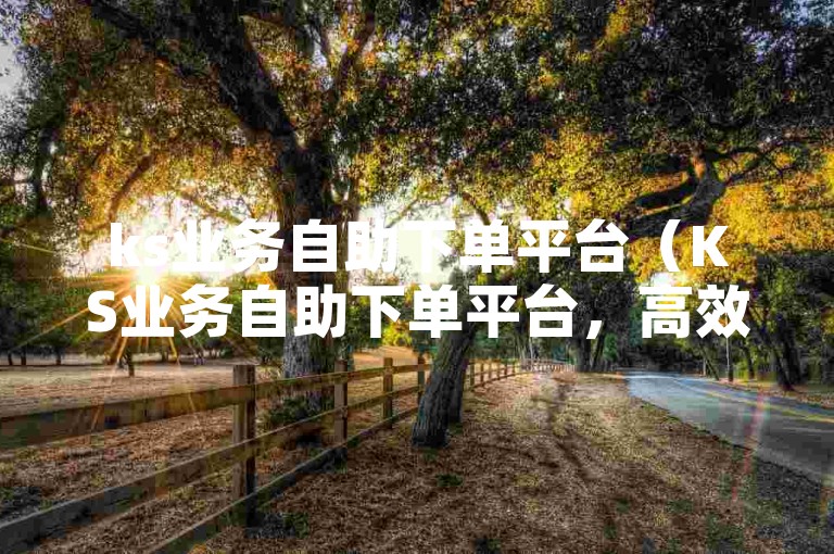 ks业务自助下单平台（KS业务自助下单平台，高效快捷的业务办理渠道）