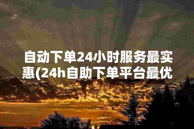 自动下单24小时服务最实惠(24h自助下单平台最优价)