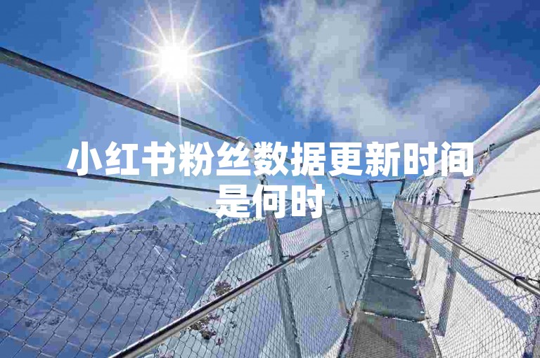 小红书粉丝数据更新时间是何时
