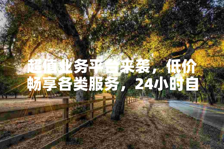 超值业务平台来袭，低价畅享各类服务，24小时自助下单超便捷