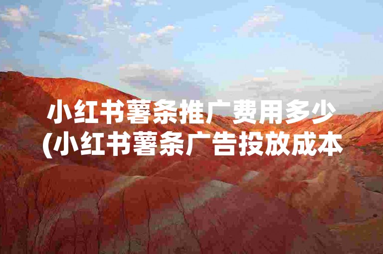 小红书薯条推广费用多少(小红书薯条广告投放成本)