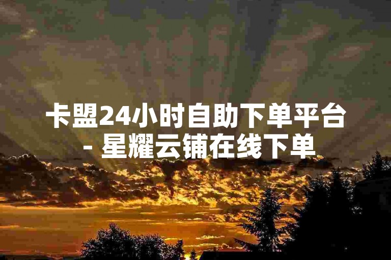 卡盟24小时自助下单平台 - 星耀云铺在线下单