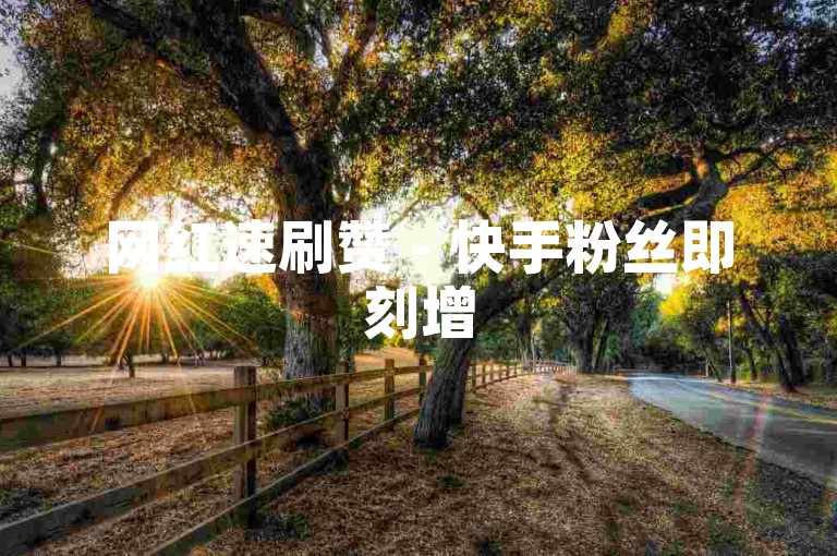 网红速刷赞 - 快手粉丝即刻增