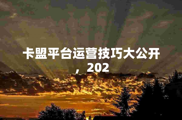 卡盟平台运营技巧大公开，2025新手必知攻略