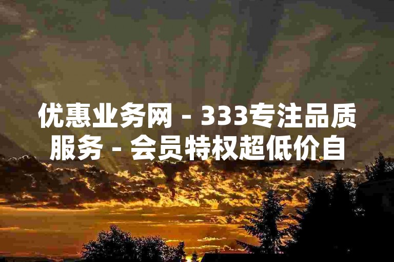 优惠业务网 - 333专注品质服务 - 会员特权超低价自助平台，便捷下单dy - wx自动下单中心