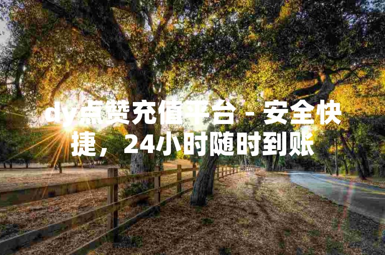 dy点赞充值平台 - 安全快捷，24小时随时到账