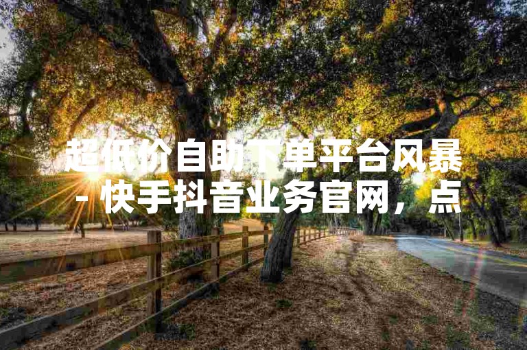 超低价自助下单平台风暴 - 快手抖音业务官网，点赞评论24小时服务