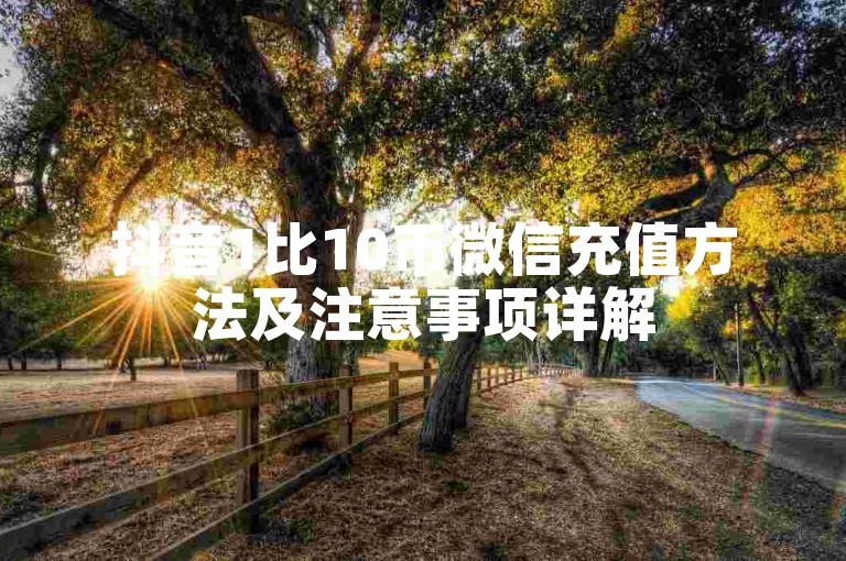 抖音1比10币微信充值方法及注意事项详解