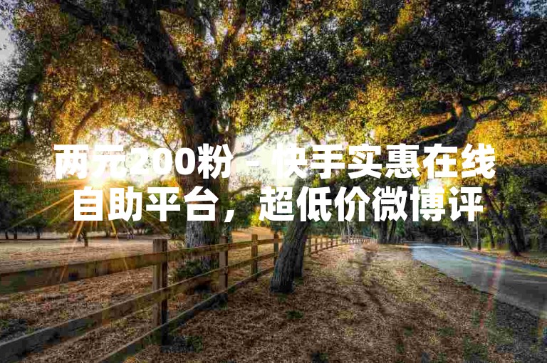 两元200粉 - 快手实惠在线自助平台，超低价微博评论赞自助下单平台 - 快手24小时自助服务平台
