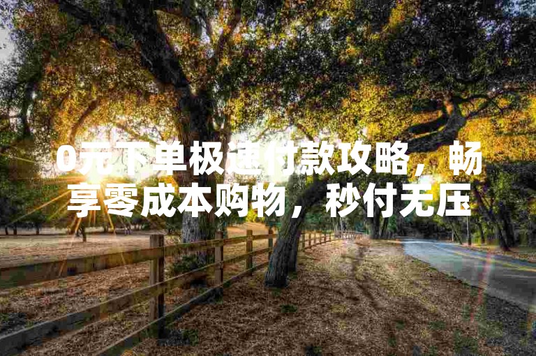 0元下单极速付款攻略，畅享零成本购物，秒付无压力！新手福音！