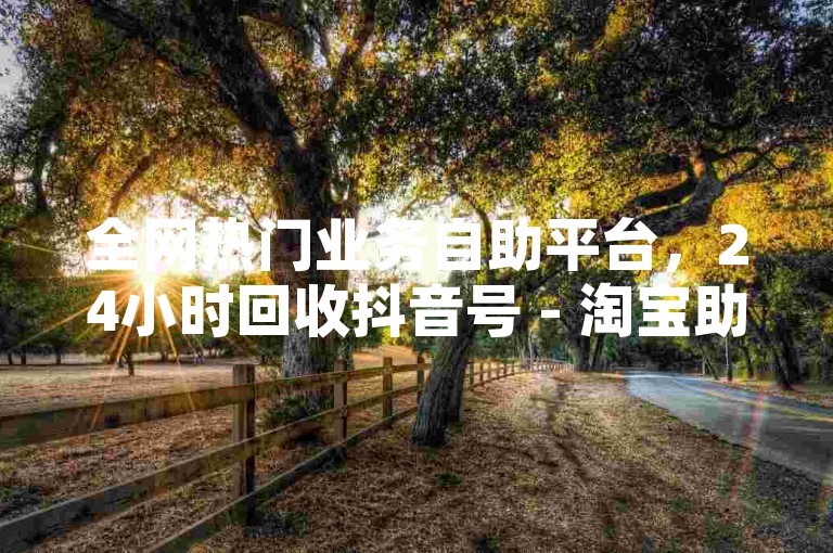 全网热门业务自助平台，24小时回收抖音号 - 淘宝助力 - 小红书赞自助下单网