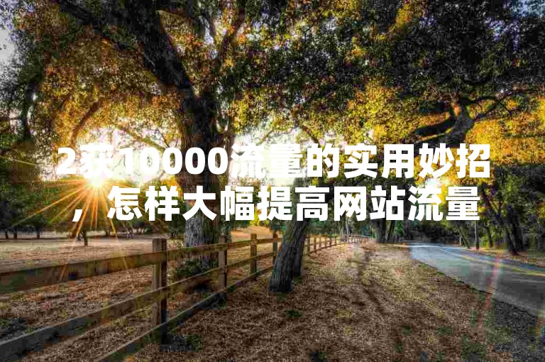 2获10000流量的实用妙招，怎样大幅提高网站流量！新手速看！