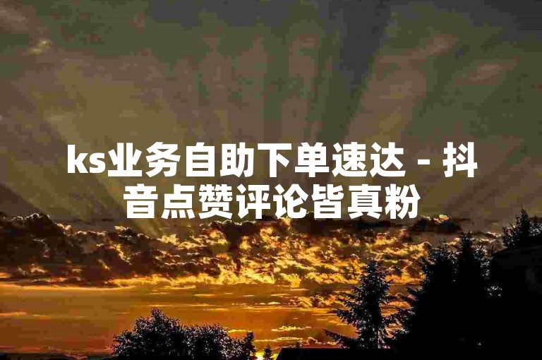 ks业务自助下单速达 - 抖音点赞评论皆真粉