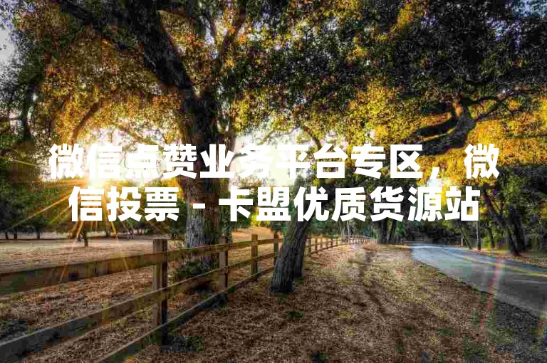 微信点赞业务平台专区，微信投票 - 卡盟优质货源站 - 微信点赞自助服务