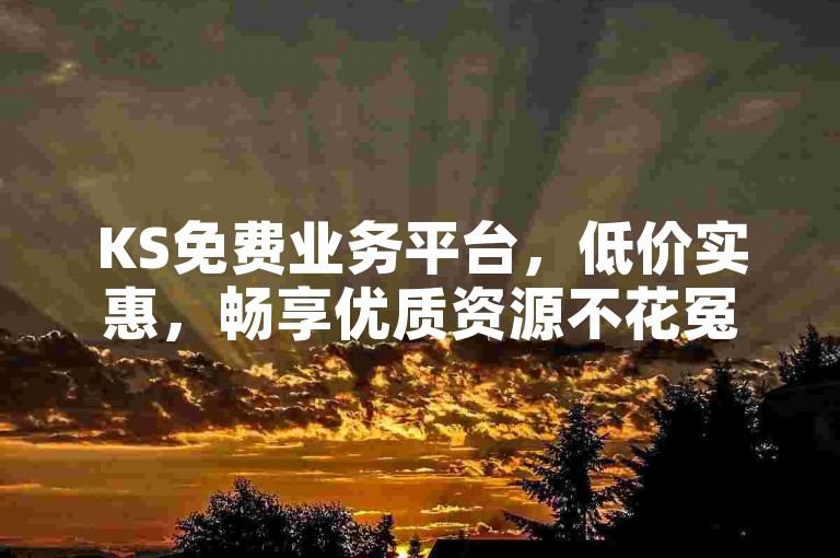 KS免费业务平台，低价实惠，畅享优质资源不花冤枉钱