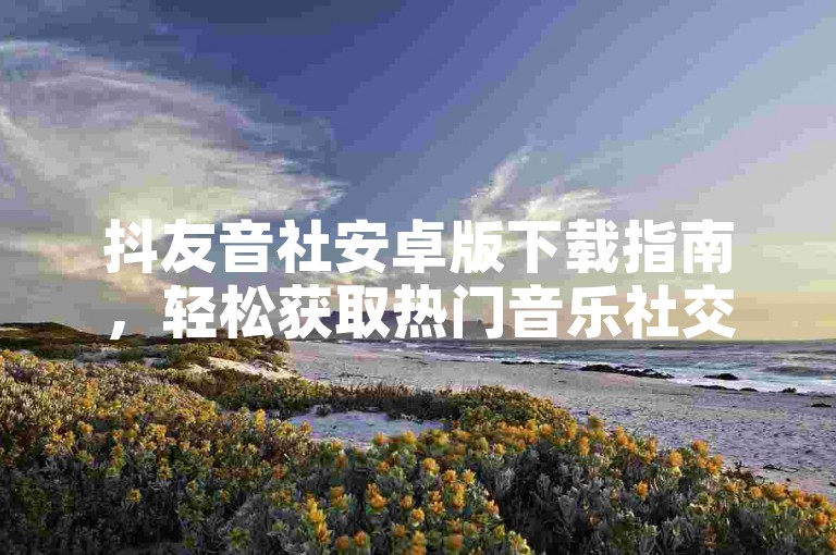 抖友音社安卓版下载指南，轻松获取热门音乐社交软件