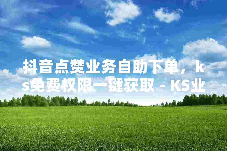 抖音点赞业务自助下单，ks免费权限一键获取 - KS业务下单助手 - dy业务低价自助下单评论优惠解析！