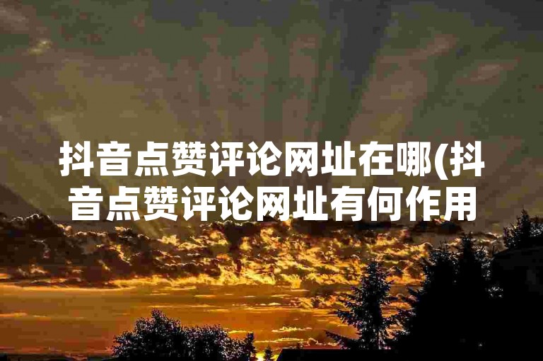 抖音点赞评论网址在哪(抖音点赞评论网址有何作用)