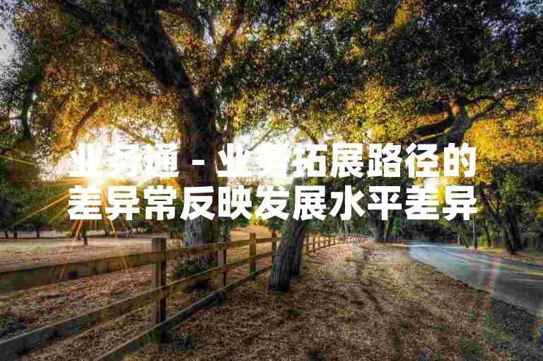 业务通 - 业务拓展路径的差异常反映发展水平差异
