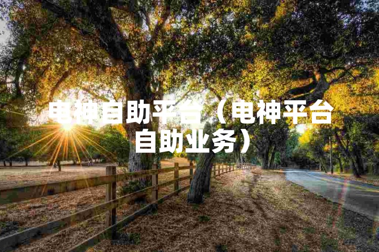 电神自助平台（电神平台自助业务）