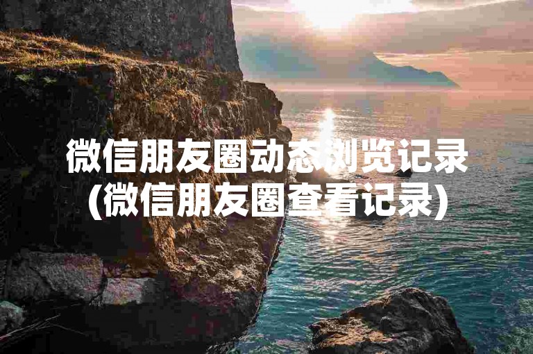 微信朋友圈动态浏览记录(微信朋友圈查看记录)