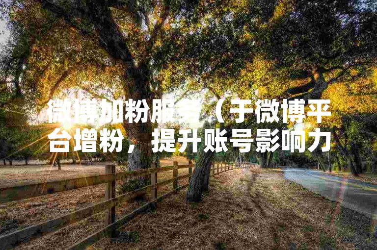 微博加粉服务（于微博平台增粉，提升账号影响力）