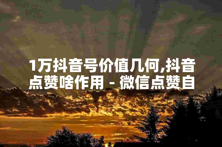 1万抖音号价值几何,抖音点赞啥作用 - 微信点赞自助平台盘点 - 微信点赞软件合集
