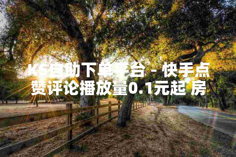 KS自助下单平台 - 快手点赞评论播放量0.1元起 房产优惠限时抢