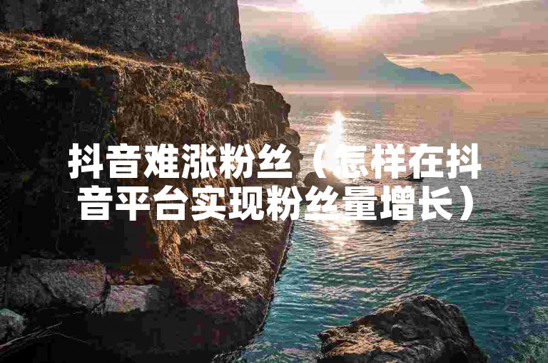 抖音难涨粉丝（怎样在抖音平台实现粉丝量增长）
