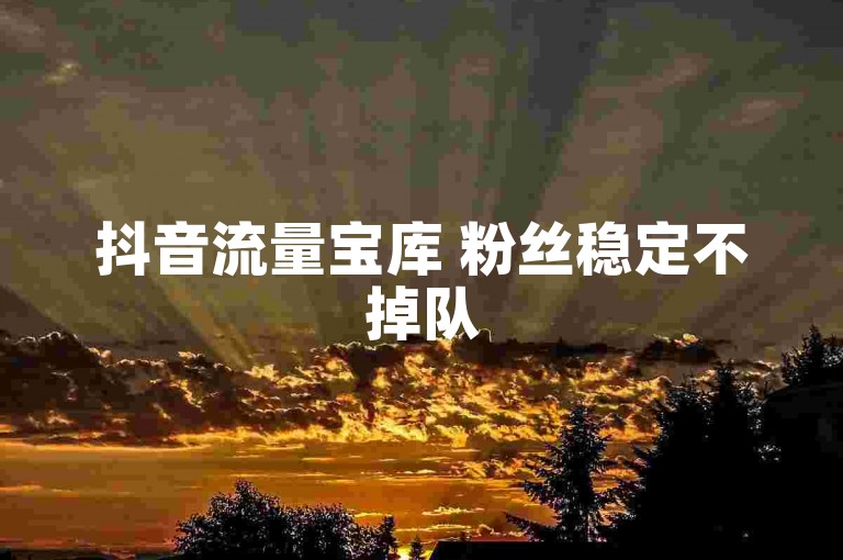 抖音流量宝库 粉丝稳定不掉队