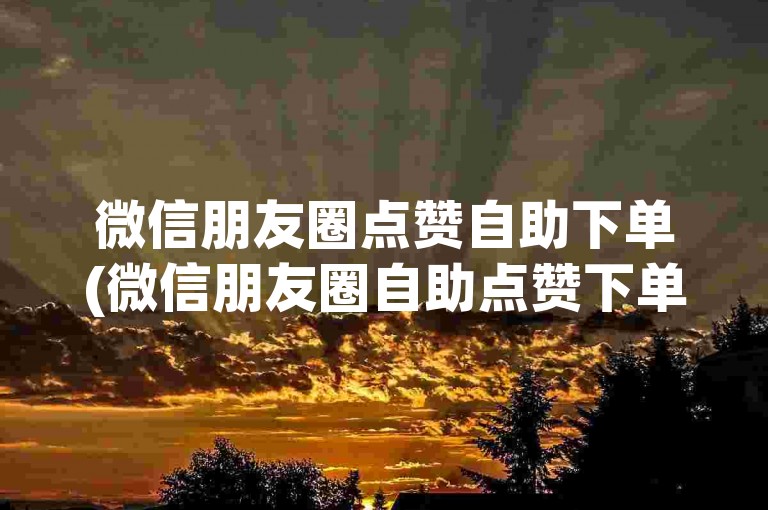 微信朋友圈点赞自助下单(微信朋友圈自助点赞下单)