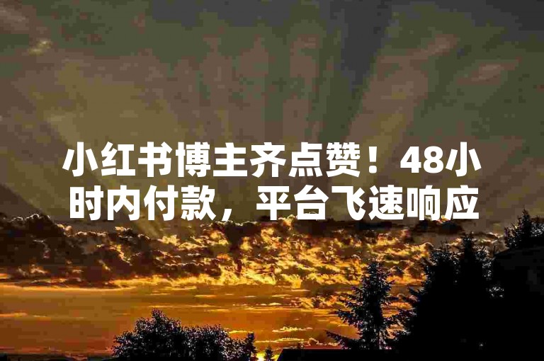 小红书博主齐点赞！48小时内付款，平台飞速响应！