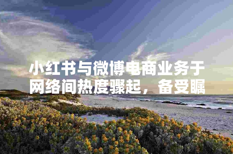 小红书与微博电商业务于网络间热度骤起，备受瞩目