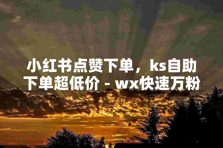 小红书点赞下单，ks自助下单超低价 - wx快速万粉 - mt秒赞助手安卓版下载