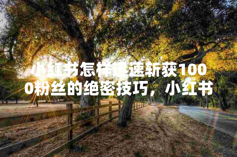 小红书怎样迅速斩获1000粉丝的绝密技巧，小红书1000粉速增宝典！2025必备