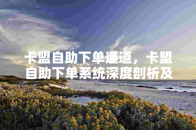 卡盟自助下单通道，卡盟自助下单系统深度剖析及操作指引