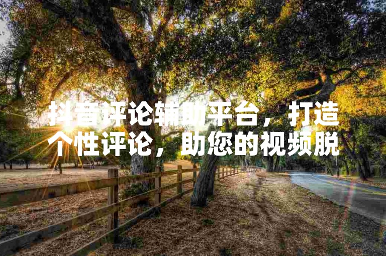抖音评论辅助平台，打造个性评论，助您的视频脱颖而出！