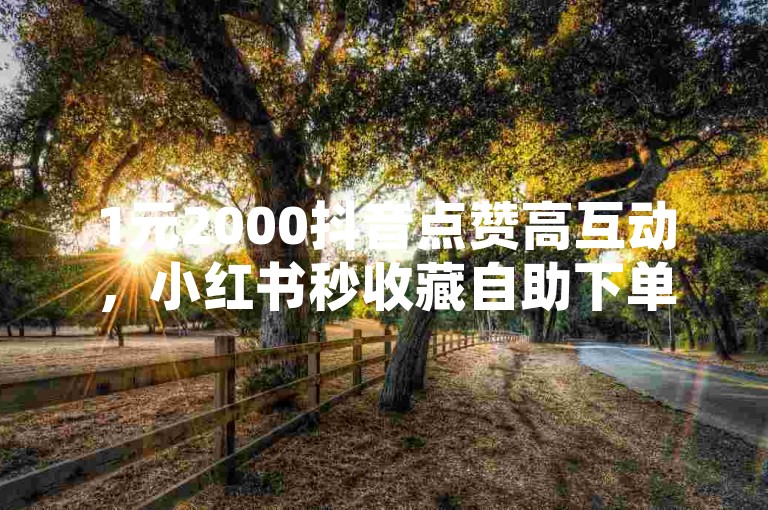 1元2000抖音点赞高互动，小红书秒收藏自助下单平台 - 快手业务低价一元五百粉 - 全平台业务优惠购