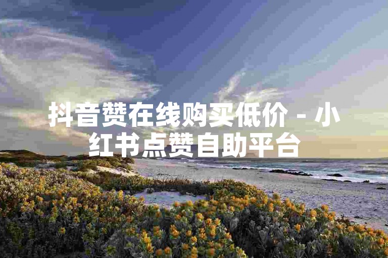 抖音赞在线购买低价 - 小红书点赞自助平台