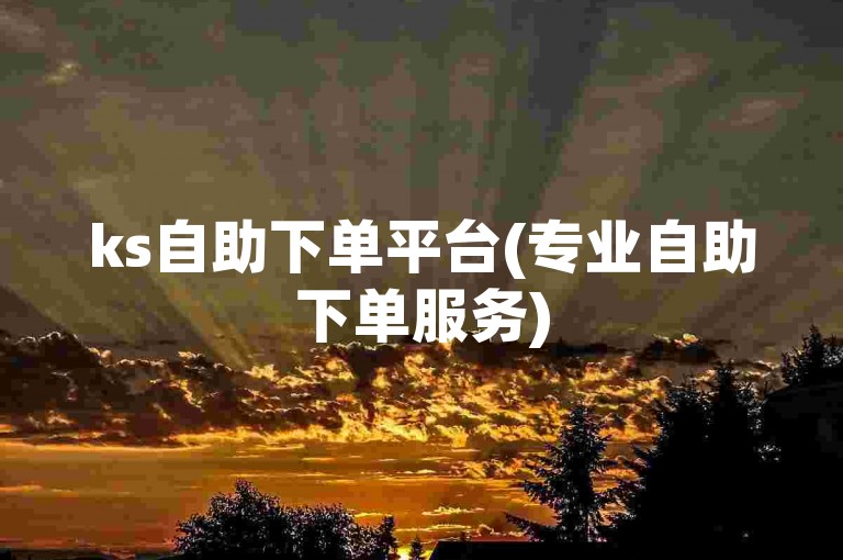 ks自助下单平台(专业自助下单服务)