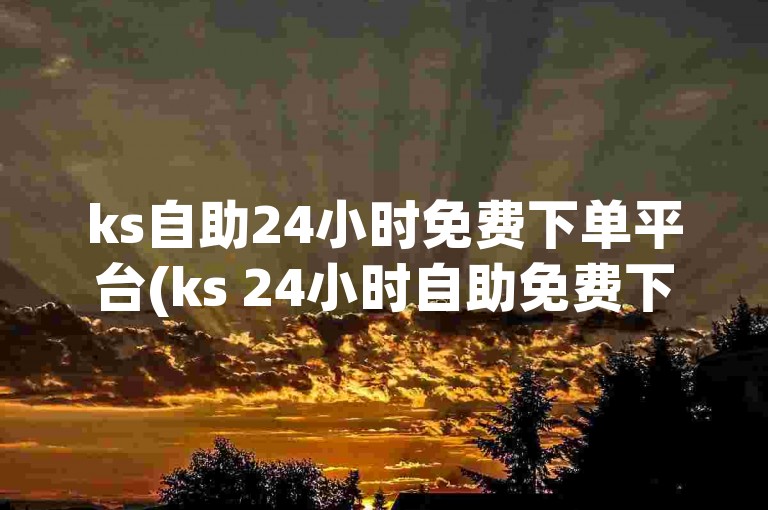 ks自助24小时免费下单平台(ks 24小时自助免费下单)