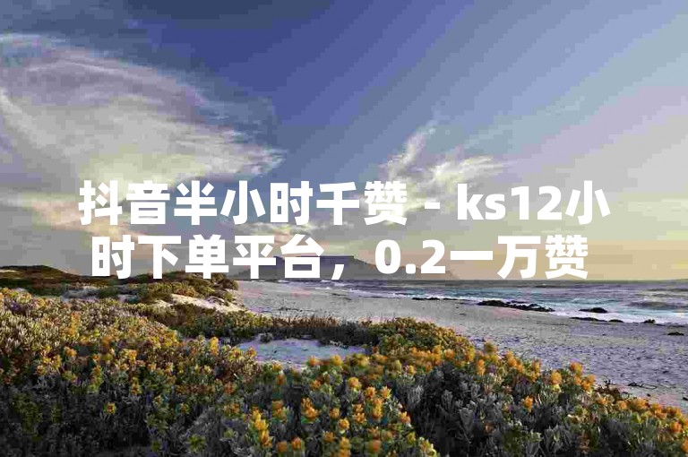 抖音半小时千赞 - ks12小时下单平台，0.2一万赞 - 抖音点赞播放量网站下单0.05自助家居设计