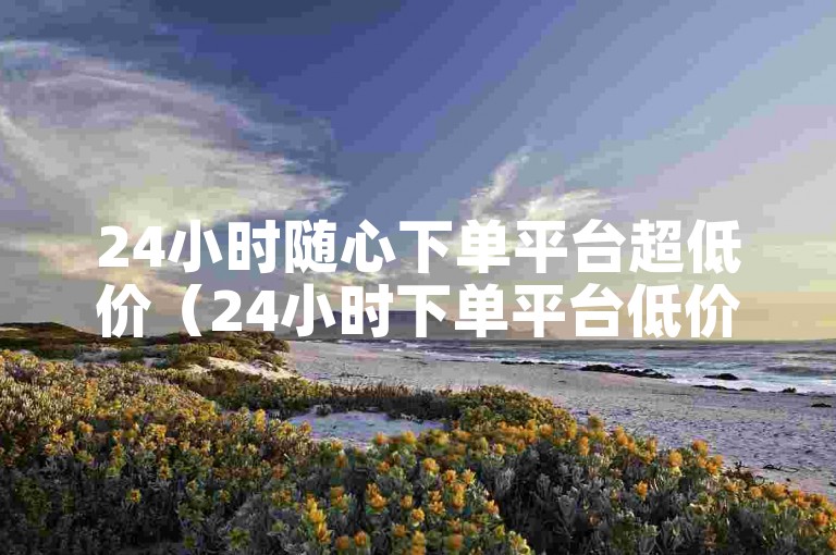 24小时随心下单平台超低价（24小时下单平台低价全攻略）