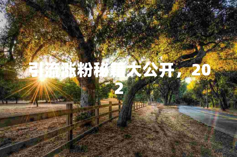引流涨粉秘籍大公开，2025超实用快速吸粉技巧，助你粉丝量飙升！