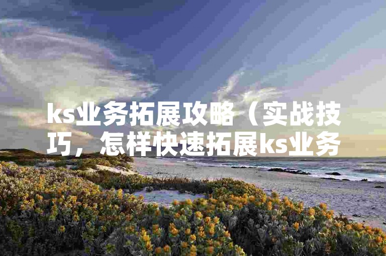 ks业务拓展攻略（实战技巧，怎样快速拓展ks业务）