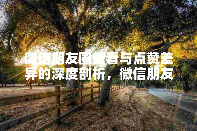 微信朋友圈查看与点赞差异的深度剖析，微信朋友圈查看点赞区别详解！2025必懂