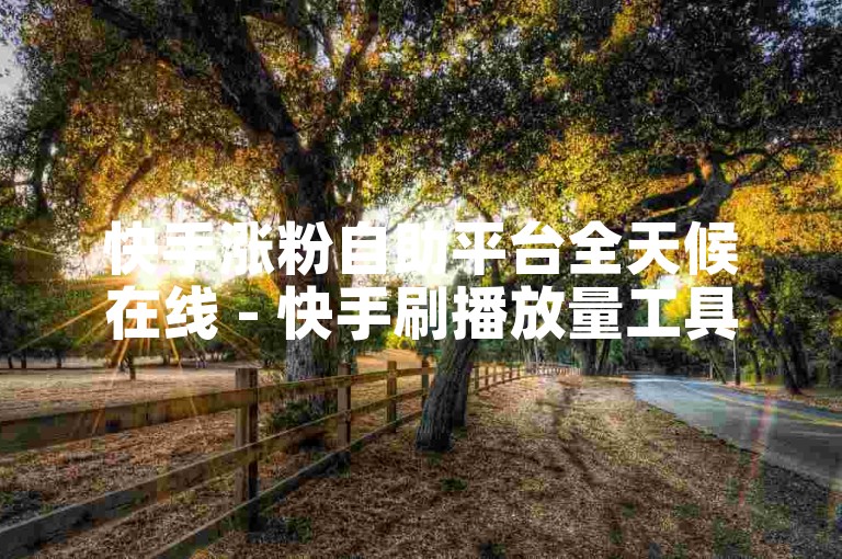 快手涨粉自助平台全天候在线 - 快手刷播放量工具APP